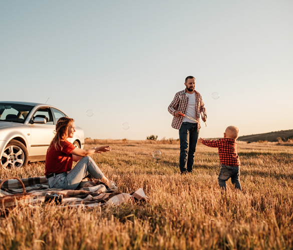 Auto Insurance