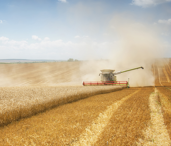Farm and Crop Insurance